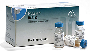 nobivac dhp vaccine